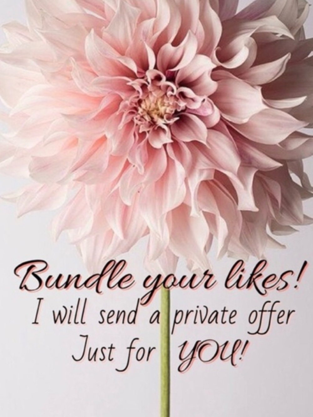 Pink Floral Wall Art Print - Women Other